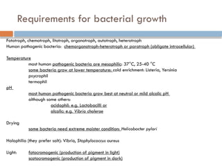 aoh Structure of the bacteritas2024.pptx
