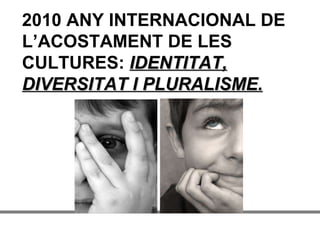 2010 ANY INTERNACIONAL DE L’ACOSTAMENT DE LES CULTURES:  IDENTITAT, DIVERSITAT I PLURALISME. 