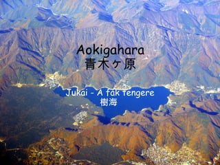 Aokigahara 青木ヶ原 Jukai - A fák tengere 樹海  