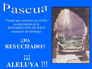 Pascua Tiempo que comienza con el feliz acontecimiento de la RESURRECCIÓN DE JESÚS (amanecer del domingo) ¡¡HA  RESUCITADO !! ¡¡¡ ALELUYA !!! 