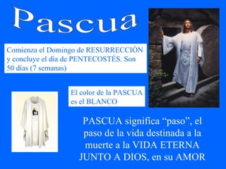 Pascua Comienza el Domingo de RESURRECCIÓN y concluye el día de PENTECOSTÉS. Son 50 días (7 semanas) El color de la PASCUA es el BLANCO PASCUA significa “paso”, el paso de la vida destinada a la muerte a la VIDA ETERNA JUNTO A DIOS, en su AMOR 