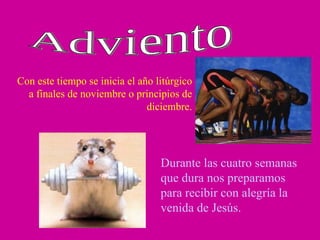 Adviento Con este tiempo se inicia el año litúrgico a finales de noviembre o principios de diciembre. Durante las cuatro semanas que dura nos preparamos para recibir con alegría la venida de Jesús. 