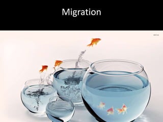 Migration 
 