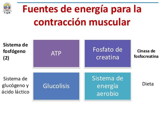 CLASE 11