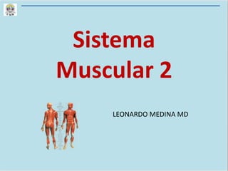 Sistema
Muscular 2
LEONARDO MEDINA MD
 