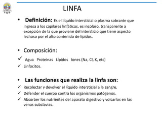 LINFA
• Definición: Es el líquido intersticial o plasma sobrante que
ingresa a los capilares linfáticos, es incoloro, transparente a
excepción de la que proviene del intersticio que tiene aspecto
lechoso por el alto contenido de lípidos.
• Composición:
 Agua Proteínas Lípidos Iones (Na, Cl, K, etc)
 Linfocitos.
• Las funciones que realiza la linfa son:
 Recolectar y devolver el líquido intersticial a la sangre.
 Defender el cuerpo contra los organismos patógenos.
 Absorber los nutrientes del aparato digestivo y volcarlos en las
venas subclavias.
 