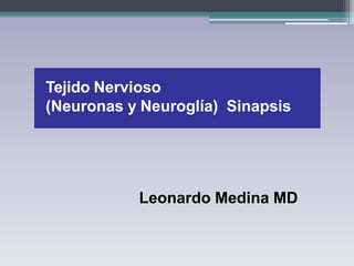Tejido Nervioso
(Neuronas y Neuroglía) Sinapsis
Leonardo Medina MD
 