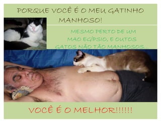 MESMO PERTO DE UM MAO EGÍPSIO, E OUTOS GATOS NÃO TÃO MANHOSOS... PORQUE VOCÊ É O MEU GATINHO MANHOSO! VOCÊ É O MELHOR!!!!!! 