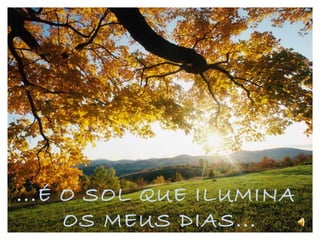 ...É O SOL QUE ILUMINA  OS MEUS DIAS... 