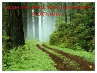 QUE ME APONTA O CAMINHO A SEGUIR... 