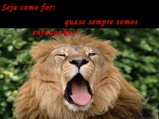 Seja como for: quase sempre somos enfadonhos! 