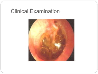 Clinical Examination
 