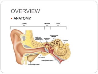 OVERVIEW
 ANATOMY
 