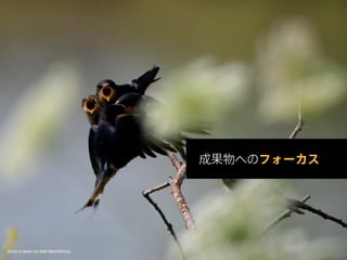 photo is taken by Matt MacGillivray
 