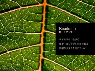 Roadmap




photo is taken by Stuart Richards
 