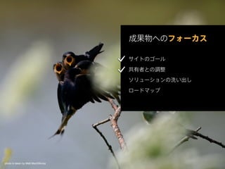 photo is taken by Matt MacGillivray
 