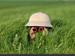 成果物としてのUXとは