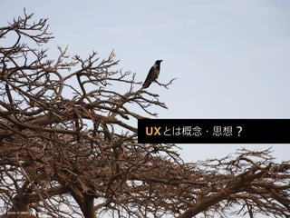 photo is taken by Or Hiltch
 