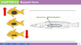 PHYSICS 4-term Week 2-3 2019-2020 27
CHAPTER 5.8 Buoyant force
 