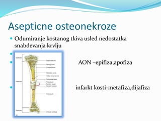 AON.pptx