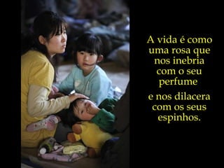 A vida é como uma rosa que nos inebria com o seu perfume  e nos dilacera com os seus espinhos. 