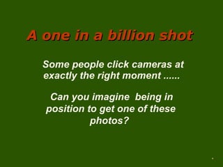 A one in a billion shot Some people click cameras at exactly the right moment ...... Can you imagine  being in position to get one of these photos?  