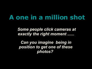 A one in a million shot Some people click cameras at exactly the right moment ...... Can you imagine  being in position to get one of these photos?  