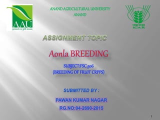 1
ANANDAGRICULTURAL UNIVERSITY
ANAND
Aonla BREEDING
SUBJECT:FSC.506
(BREEDING OF FRUIT CRPPS)
 