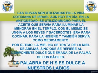 • LAS OLIVAS SON UTILIZADAS EN LA VIDA
COTIDIANA DE ISRAEL AÚN HOY EN DÍA. EN LA
ANTIGÜEDAD, SE UTILIZÓ MUCHO PARA EL
ACEITE QUE SERVÍA PARA ILUMINAR LA
MENORAH EN EL TEMPLO, CON EL MISMO SE
UNGÍA A LOS REYES Y SACERDOTES, ERA PARA
COCINAR, PARA LA HIGIENE Y TAMBIÉN SERVÍA
COMO MEDICAMENTO.
• POR ÚLTIMO, LA MIEL NO SE TRATA DE LA MIEL
DE ABEJAS, SINO QUE SE REFIERE AL
COMPONENTE DULCE QUE EMANA DE LA PALMA
DE LOS DÁTILES.

LA PALABRA DE H´S ES DULCE A
NUESTROS LABIOS.

 