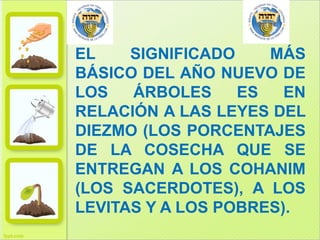 EL
SIGNIFICADO
MÁS
BÁSICO DEL AÑO NUEVO DE
LOS
ÁRBOLES
ES
EN
RELACIÓN A LAS LEYES DEL
DIEZMO (LOS PORCENTAJES
DE LA COSECHA QUE SE
ENTREGAN A LOS COHANIM
(LOS SACERDOTES), A LOS
LEVITAS Y A LOS POBRES).

 