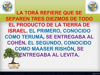 LA TORÁ REFIERE QUE SE
SEPAREN TRES DIEZMOS DE TODO
EL PRODUCTO DE LA TIERRA DE
ISRAEL. EL PRIMERO, CONOCIDO
COMO TERUMÁ, SE ENTREGABA AL
COHÉN. EL SEGUNDO, CONOCIDO
COMO MAASER RISHÓN, SE
ENTREGABA AL LEVITA.

 