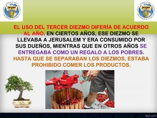 EL USO DEL TERCER DIEZMO DIFERÍA DE ACUERDO
AL AÑO. EN CIERTOS AÑOS, ESE DIEZMO SE
LLEVABA A JERUSALEM Y ERA CONSUMIDO POR
SUS DUEÑOS, MIENTRAS QUE EN OTROS AÑOS SE
ENTREGABA COMO UN REGALO A LOS POBRES.
HASTA QUE SE SEPARABAN LOS DIEZMOS, ESTABA
PROHIBIDO COMER LOS PRODUCTOS.

 