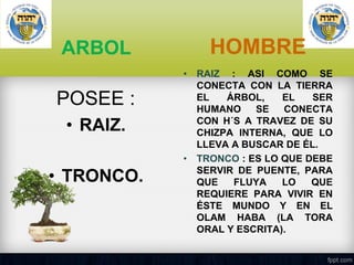 ARBOL
POSEE :
• RAIZ.
• TRONCO.

HOMBRE
• RAIZ : ASI COMO SE
CONECTA CON LA TIERRA
EL
ÁRBOL,
EL
SER
HUMANO
SE
CONECTA
CON H´S A TRAVEZ DE SU
CHIZPA INTERNA, QUE LO
LLEVA A BUSCAR DE ÉL.
• TRONCO : ES LO QUE DEBE
SERVIR DE PUENTE, PARA
QUE
FLUYA
LO
QUE
REQUIERE PARA VIVIR EN
ÉSTE MUNDO Y EN EL
OLAM HABA (LA TORA
ORAL Y ESCRITA).

 