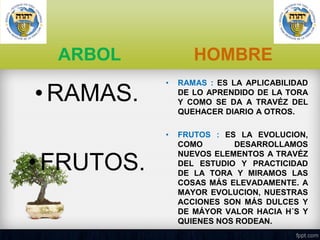 ARBOL

HOMBRE

• FRUTOS.

RAMAS : ES LA APLICABILIDAD
DE LO APRENDIDO DE LA TORA
Y COMO SE DA A TRAVÉZ DEL
QUEHACER DIARIO A OTROS.

•

• RAMAS.

•

FRUTOS : ES LA EVOLUCION,
COMO
DESARROLLAMOS
NUEVOS ELEMENTOS A TRAVÉZ
DEL ESTUDIO Y PRACTICIDAD
DE LA TORA Y MIRAMOS LAS
COSAS MÁS ELEVADAMENTE. A
MAYOR EVOLUCION, NUESTRAS
ACCIONES SON MÁS DULCES Y
DE MÁYOR VALOR HACIA H´S Y
QUIENES NOS RODEAN.

 