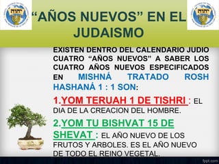 “AÑOS NUEVOS” EN EL
JUDAISMO
EXISTEN DENTRO DEL CALENDARIO JUDIO
CUATRO “AÑOS NUEVOS” A SABER LOS
CUATRO AÑOS NUEVOS ESPECIFICADOS
EN
MISHNÁ
TRATADO
ROSH
HASHANÁ 1 : 1 SON:

1.YOM TERUAH 1 DE TISHRI : EL
DIA DE LA CREACION DEL HOMBRE.

2.YOM TU BISHVAT 15 DE
SHEVAT : EL AÑO NUEVO DE LOS
FRUTOS Y ARBOLES. ES EL AÑO NUEVO
DE TODO EL REINO VEGETAL.

 