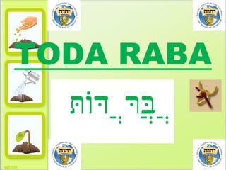 TODA RABA

 
