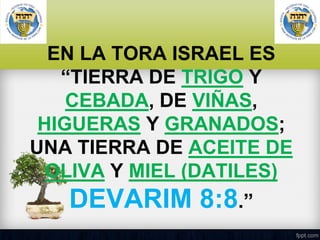 EN LA TORA ISRAEL ES
“TIERRA DE TRIGO Y
CEBADA, DE VIÑAS,
HIGUERAS Y GRANADOS;
UNA TIERRA DE ACEITE DE
OLIVA Y MIEL (DATILES)

DEVARIM 8:8.”

 
