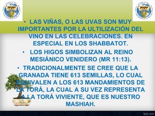 • LAS VIÑAS, O LAS UVAS SON MUY
IMPORTANTES POR LA ULTILIZACIÓN DEL
VINO EN LAS CELEBRACIONES. EN
ESPECIAL EN LOS SHABBATOT.
• LOS HIGOS SIMBOLIZAN AL REINO
MESIÁNICO VENIDERO (MR 11:13).
• TRADICIONALMENTE SE CREE QUE LA
GRANADA TIENE 613 SEMILLAS, LO CUAL
EQUIVALEN A LOS 613 MANDAMIENTOS DE
LA TORÁ, LA CUAL A SU VEZ REPRESENTA
A LA TORÁ VIVIENTE, QUE ES NUESTRO
MASHIAH.

 