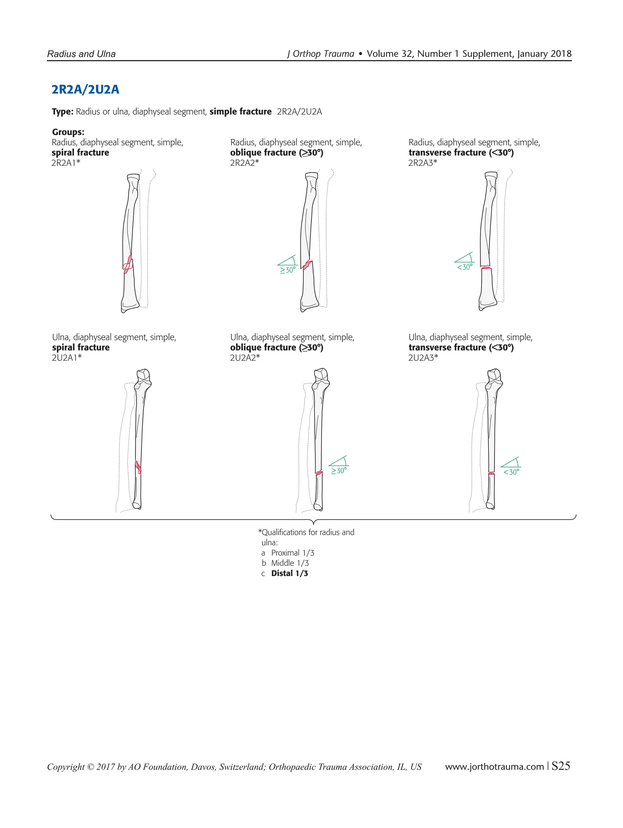 AOOTA_Classification_2018_Compendium clasificacion ao de fracturas en ...