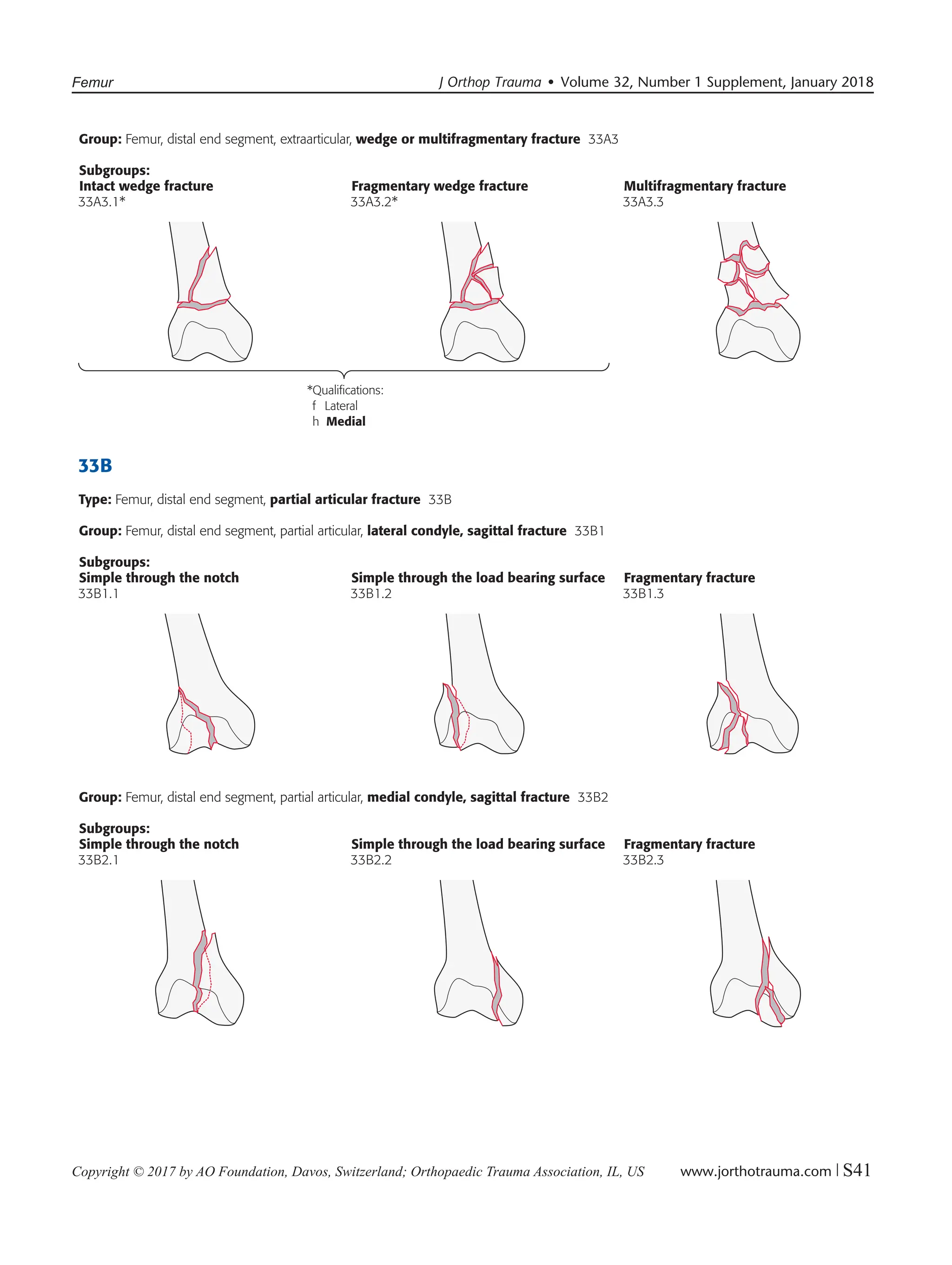 AOOTA_Classification_2018_Compendium clasificacion ao de fracturas en ...