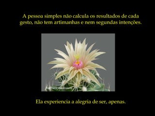 A pessoa simples não calcula os resultados de cada
gesto, não tem artimanhas e nem segundas intenções.




          Escobaria wissmannii



      Ela experiencia a alegria de ser, apenas.
 