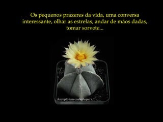Os pequenos prazeres da vida, uma conversa
interessante, olhar as estrelas, andar de mãos dadas,
                   tomar sorvete...




              Astrophytum coahuilense
 