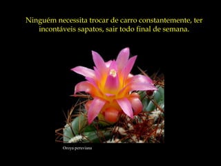 Oroya peruviana
Ninguém necessita trocar de carro constantemente, ter
incontáveis sapatos, sair todo final de semana.
 