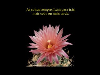 Ferobergia hybride
As coisas sempre ficam para trás,
mais cedo ou mais tarde.
 