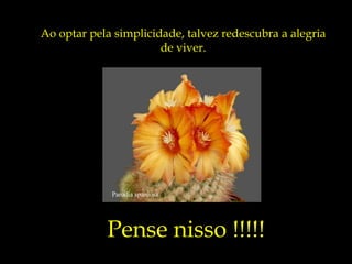 Parodia spaniosa
Ao optar pela simplicidade, talvez redescubra a alegria
de viver.
Pense nisso !!!!!
 