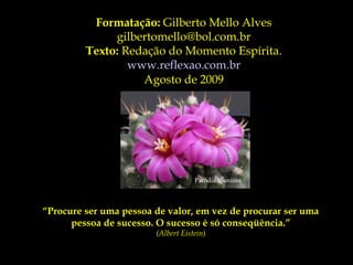 Parodia spaniosa
Formatação: Gilberto Mello Alves
gilbertomello@bol.com.br
Texto: Redação do Momento Espírita.
www.reflexao.com.br
Agosto de 2009
“Procure ser uma pessoa de valor, em vez de procurar ser uma
pessoa de sucesso. O sucesso é só conseqüência.”
(Albert Eistein)
 