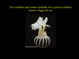 Discocactus horstii
Se a criatura não tomar cuidado, ter e parecer podem
tomar o lugar do ser.
 
