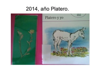 2014, año Platero. 
 