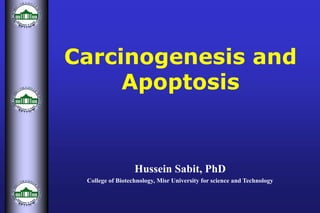 Carcinogenesis and
Apoptosis
Hussein Sabit, PhD
College of Biotechnology, Misr University for science and Technology
 