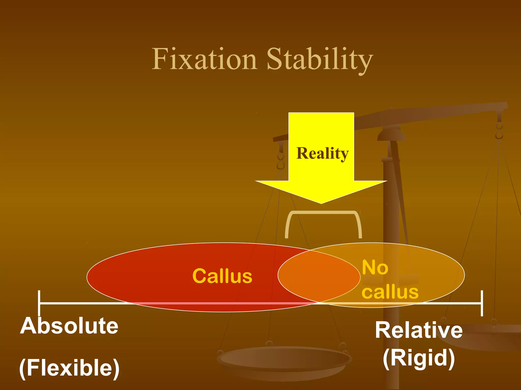 Relative
(Rigid)
Absolute
(Flexible)
No
callus
Fixation Stability
Callus
Reality
 
